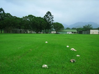 9青青球场