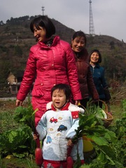徐山_农家乐