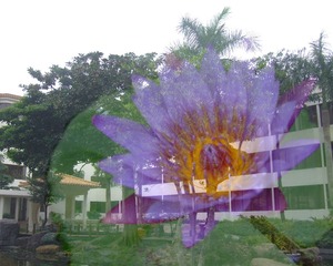 1DSCF6312