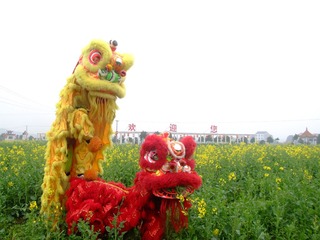 双狮贺春