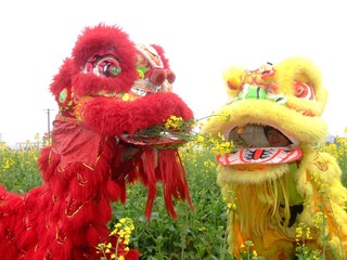 双狮贺春1