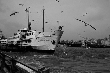 L1041667.jpg