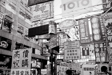 DSC02946-编辑