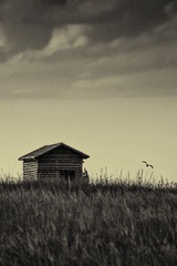 _DSC9308-2x