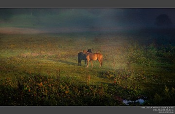 _DSC0723-2x