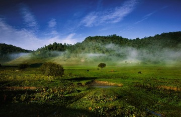 _DSC0737-2x