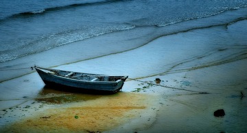 DSC_3092-2x