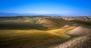 _DSC1066-1x