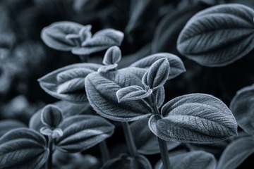 _DSC6142-1x