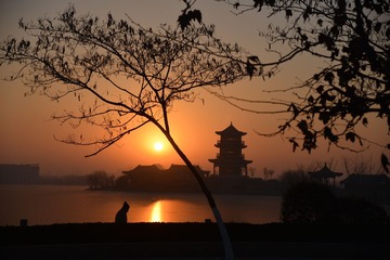 WYU_8529(1)