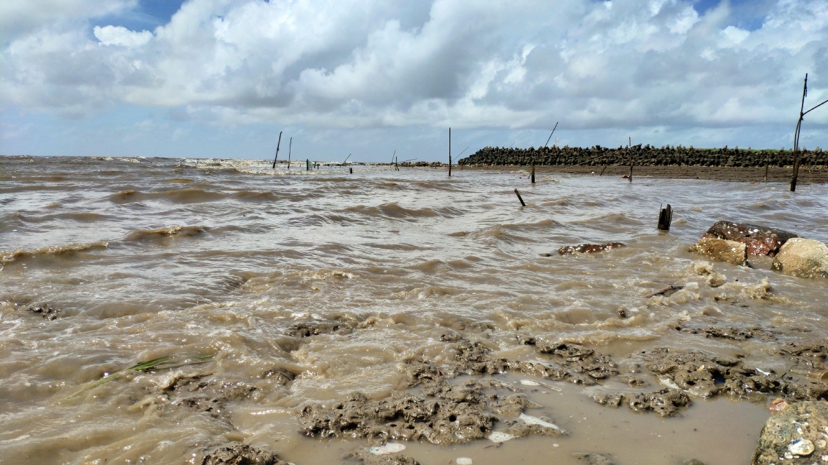 浑浊的海水,淡然的心境