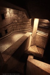 IMG_1513.jpg