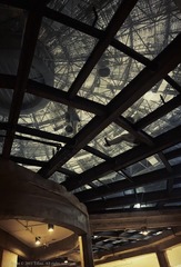 IMG_1532.jpg
