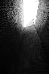 IMGP3690-1