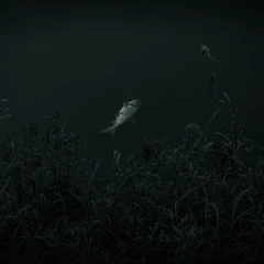 归程