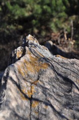 DSC_0597.jpg