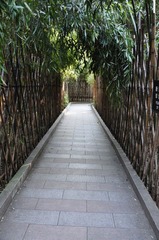 DSC_0678.jpg