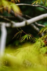 543C6260-2AF7-47D4-A71F-04A92F6921DB/L0/001