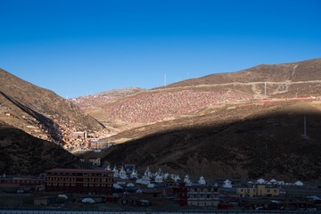_DSC2205