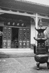 L9810995_调整大小