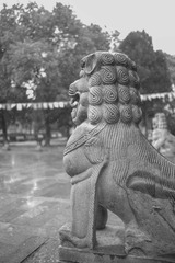 L9811021_调整大小