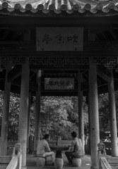 L9811790_调整大小