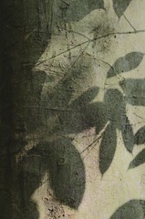 九月。