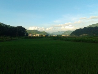 WP_000132 (2)