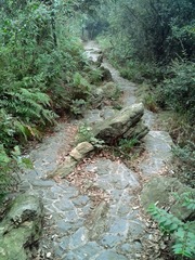 WP_000791 (2)