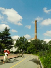 WP_002544