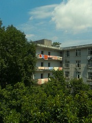 WP_003979