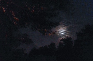 WP_000584 (1)