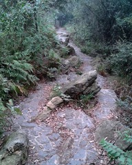 WP_000791