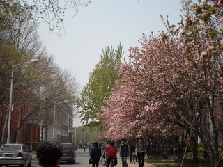 SAM_0434