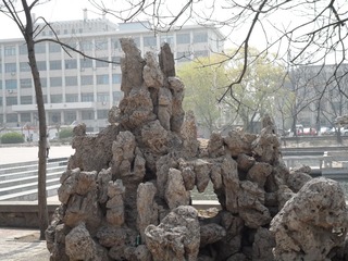 SAM_0425