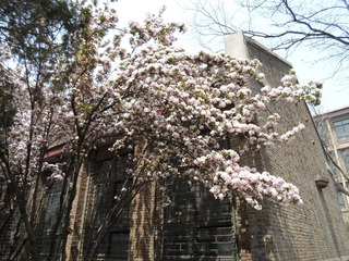SAM_0426