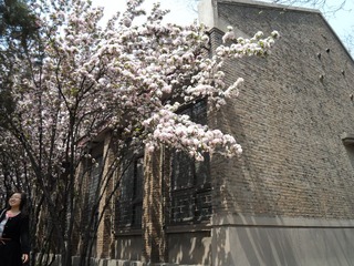 SAM_0427
