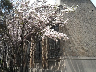 SAM_0428