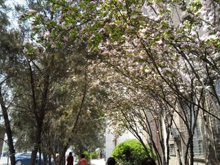 SAM_0429