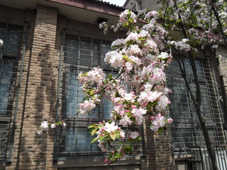 SAM_0430