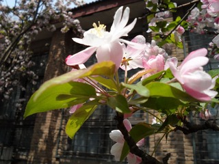SAM_0431
