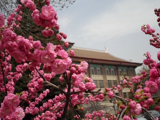 SAM_0410