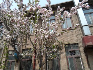 SAM_0530