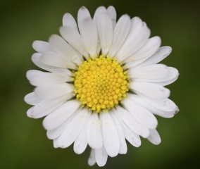 P5110365-1
