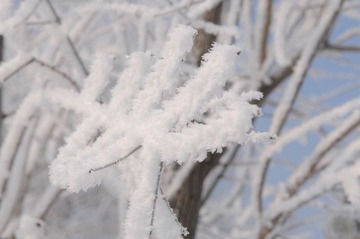新手试拍 请前辈指点 无修改