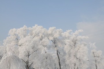 新手试拍 请前辈指点 无修改