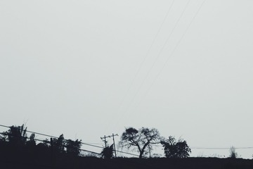 2016-07-06 07.58.30 1