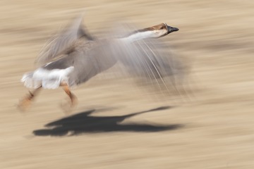 12848