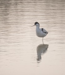 7140