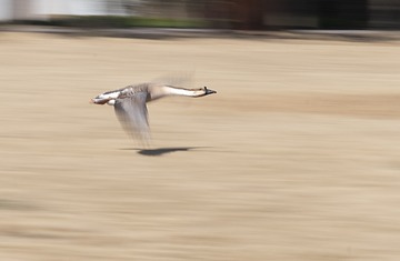12842